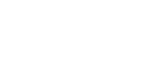Buffalo Computer Graphics